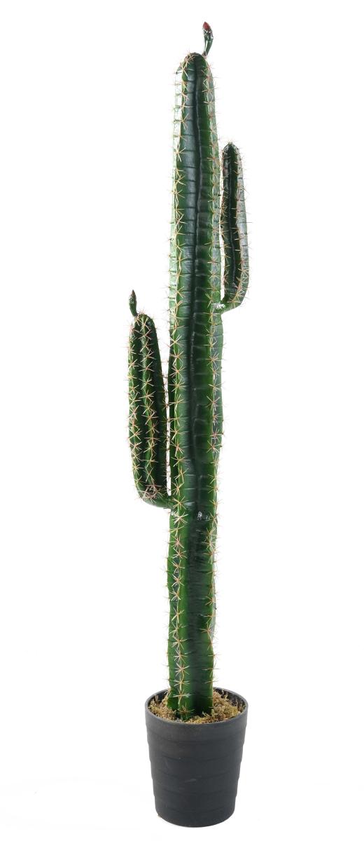 Cactus artificiel Cereus - Plante artificielle pour intérieur - H.160cm vert