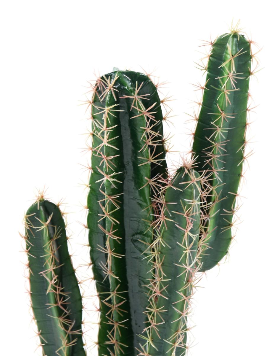 Cactus artificiel Cereus - Plante artificielle pour intérieur - H.70cm vert