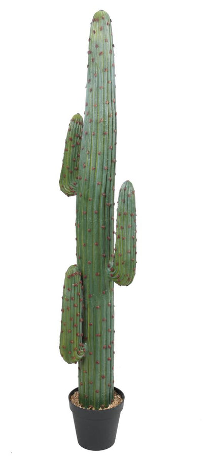 Cactus artificiel Mexico GR - plante d'intérieur - H.170cm vert