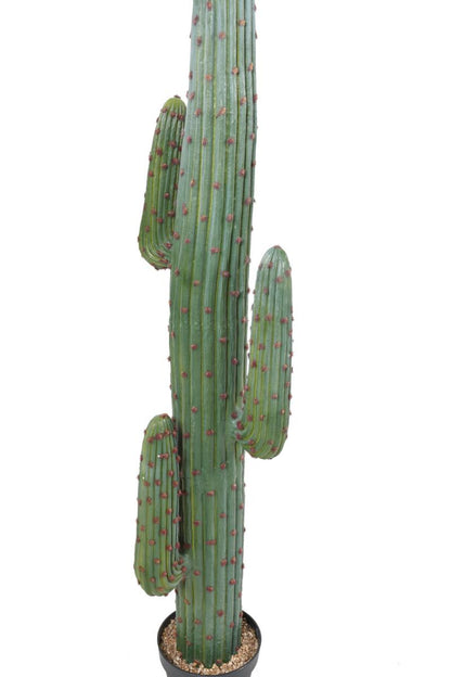 Cactus artificiel Mexico GR - plante d'intérieur - H.170cm vert