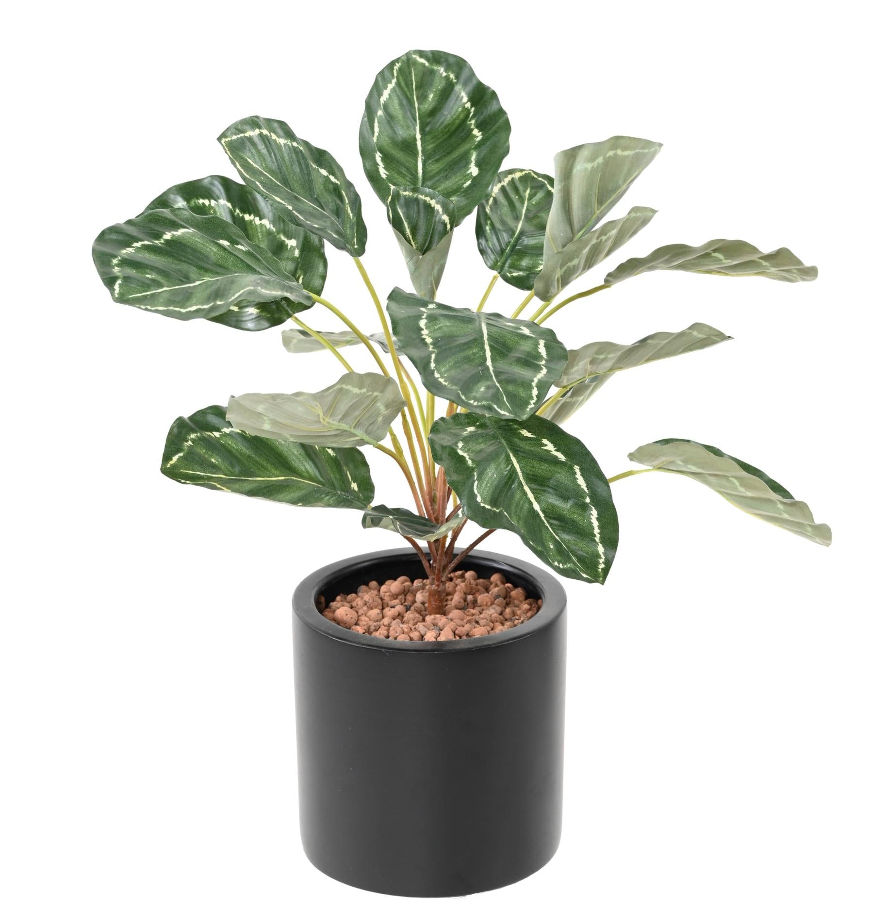 Feuillage artificiel Calathea 19 feuilles - plante verte d'intérieur - H.55cm