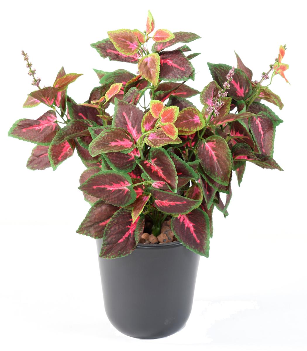 Feuillage artificiel Coleus en piquet - plante verte intérieur - H.40cm vert rouge