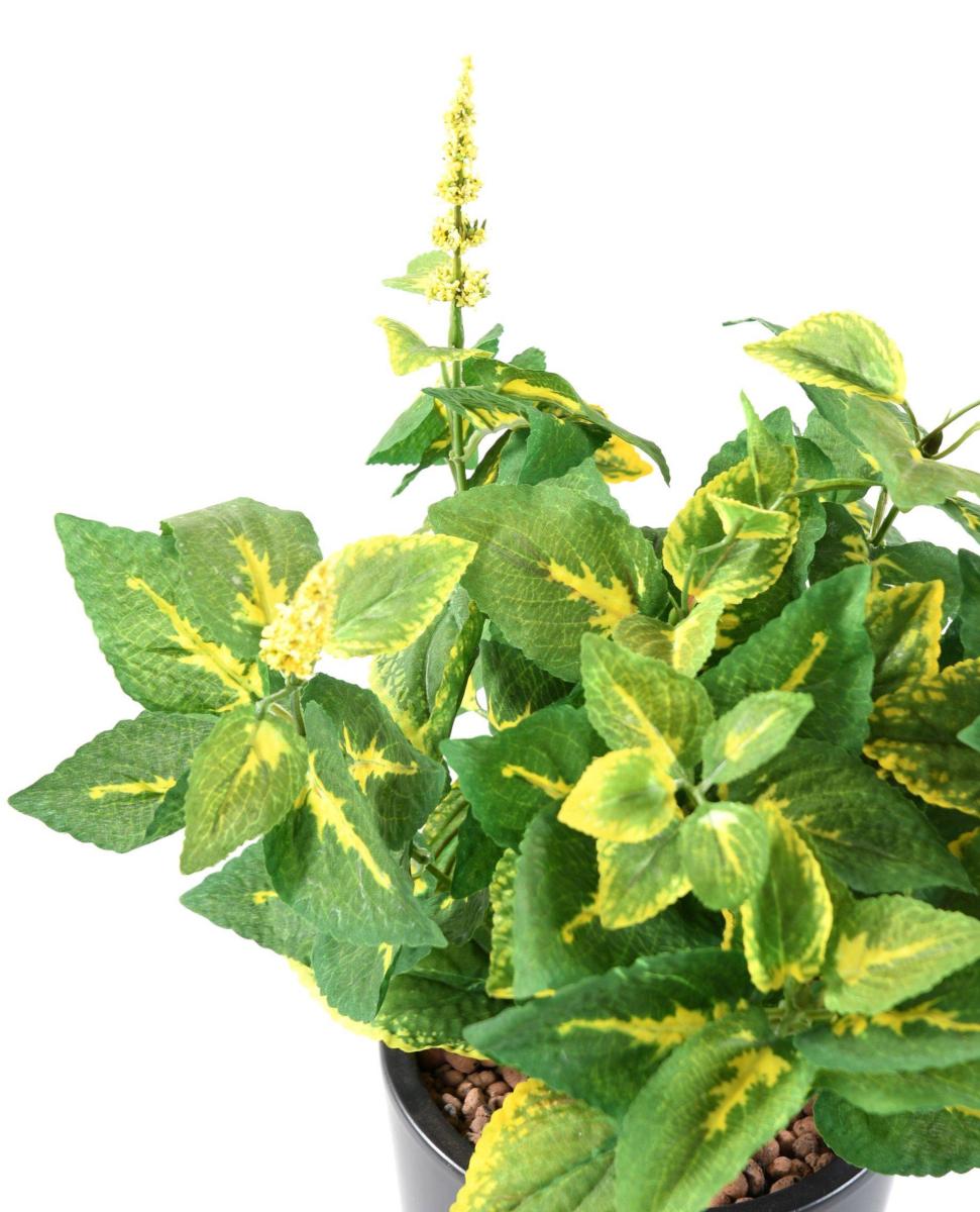 Feuillage artificiel Coleus en piquet - plante verte intérieur - H.40cm vert jaune