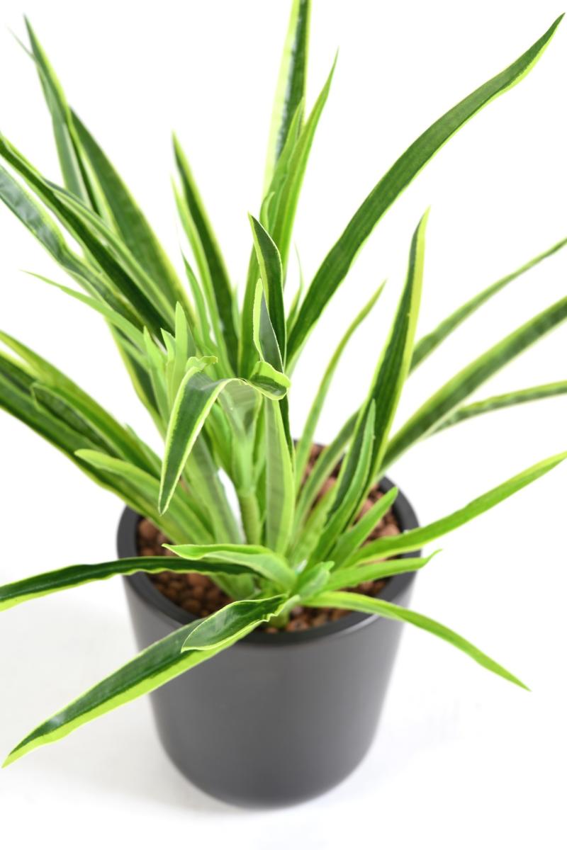 Feuillage artificiel Dracaena 4 touffes - plante en piquet - H.40cm vert 2 tons