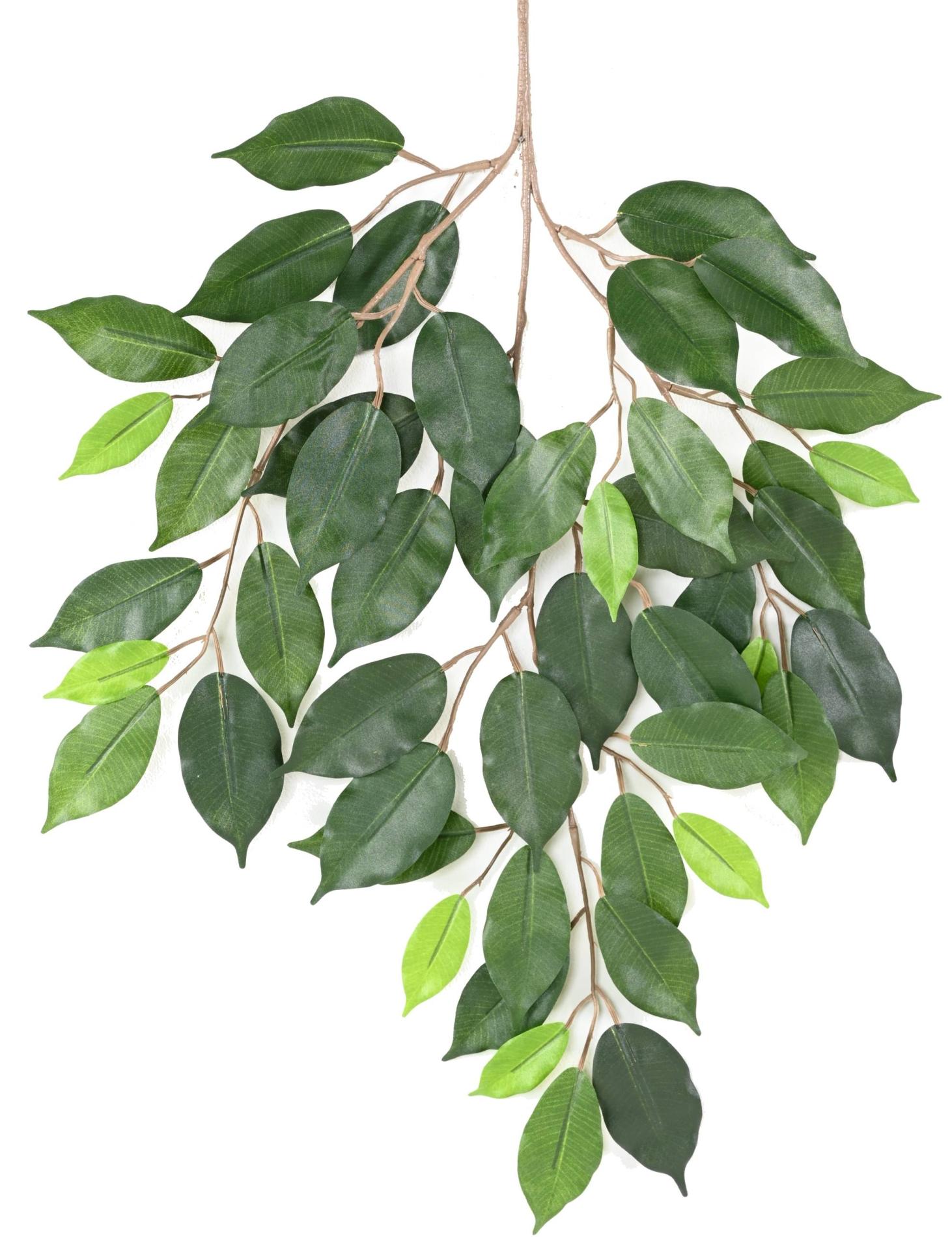 Feuillage artificiel branche de Ficus Fat - composition florale - H.60cm vert