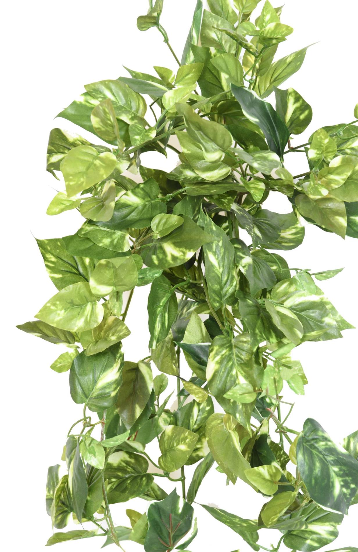 Feuillage artificiel chute de Pothos mini en piquet - plante d'intérieur - H.80cm panaché