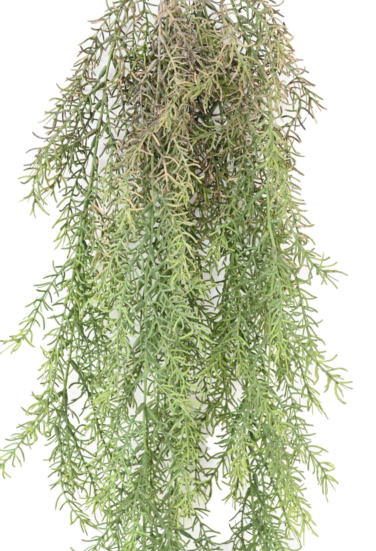 Feuillage artificiel chute de Rhipsalis - intérieur extérieur - H.101cm vert gris