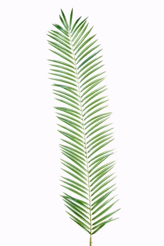 Feuille artificielle de Palmier Phoenix Palm Spray H.110 cm