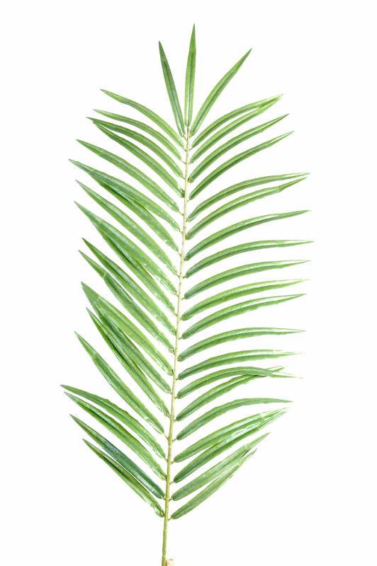 Feuille artificielle de Palmier Phoenix Palm Spray H.60cm