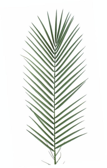 Feuille artificielle de Palmier Phoenix Palme plastique - extérieur - H.95cm