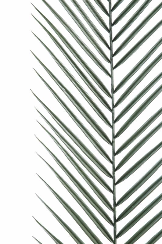 Feuille artificielle de Palmier Phoenix Palme plastique - extérieur - H.135 cm