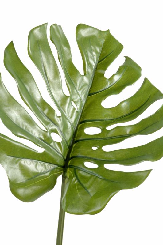 Feuille artificielle de Philodendron - décoration d'intérieur - H.75cm vert