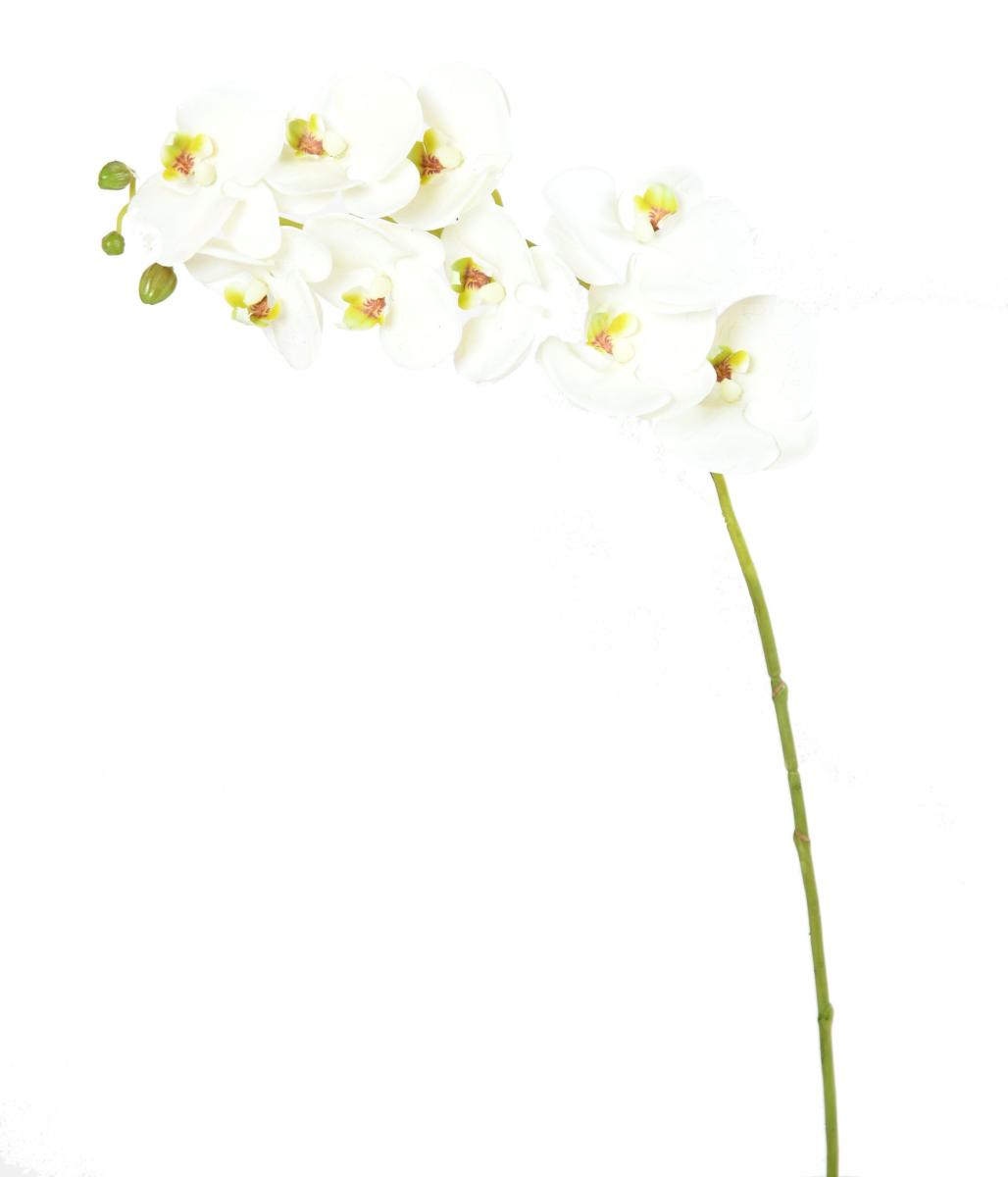 Fleur à la tige Orchidée artificielle Phalaenopsis - haute qualité - H.77 cm