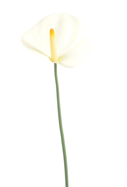 Fleur artificielle Anthurium - décoration florale - H.60cm blanc