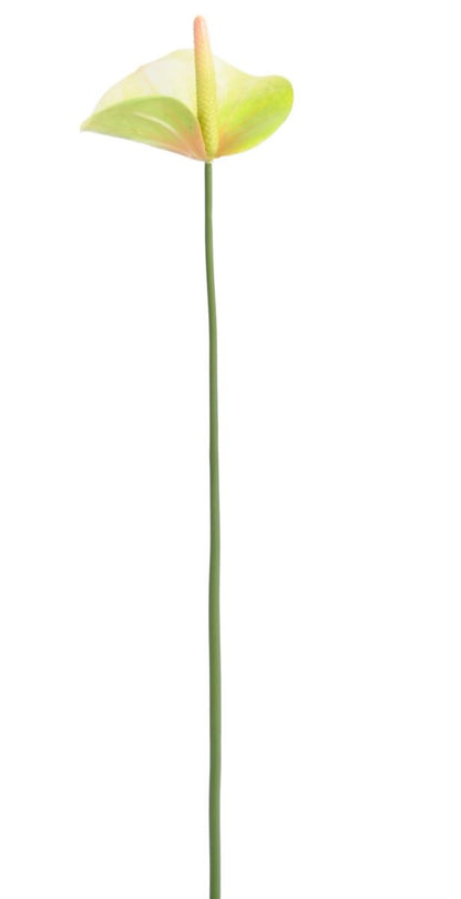 Fleur artificielle Anthurium - décoration florale - H.60cm vert