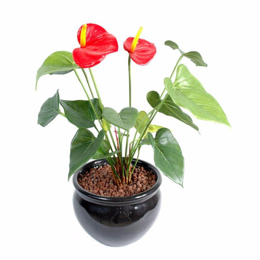 Fleur artificielle Anthurium en piquet - plante d'intérieur - H.45cm rouge