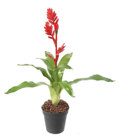 Fleur artificielle Bromélia 4 fleurs - décoration d'intérieur - H.55cm rouge