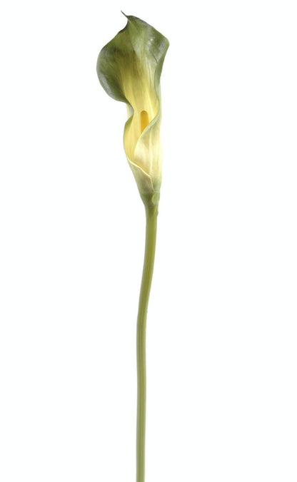 Fleur artificielle Calla Lily - création bouquet - H.90 cm vert