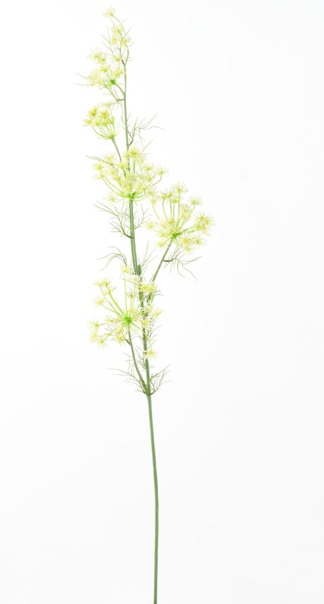 Fleur artificielle Daucus Carota - création bouquet pour intérieur - H. 120cm blanc