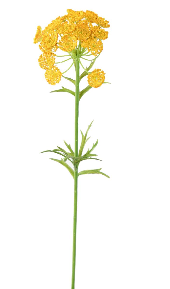 Fleur artificielle Daucus - création bouquet pour intérieur - H. 55cm jaune