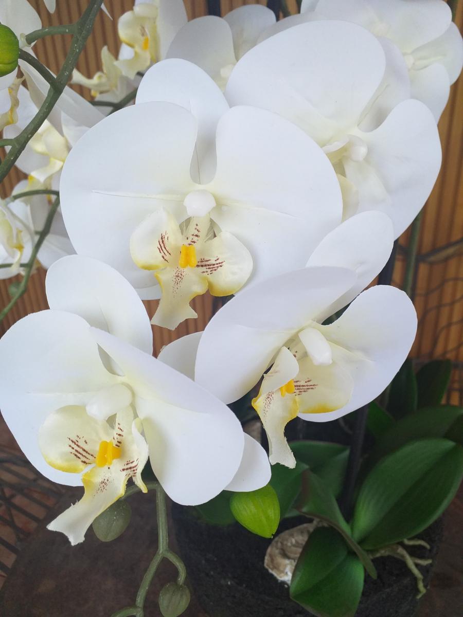 Fleur artificielle Orchidée Phalaenopsis en motte - plante d'intérieur - H.85cm crème