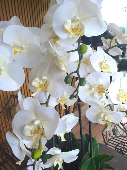 Fleur artificielle Orchidée Phalaenopsis en motte - plante d'intérieur - H.77cm crème