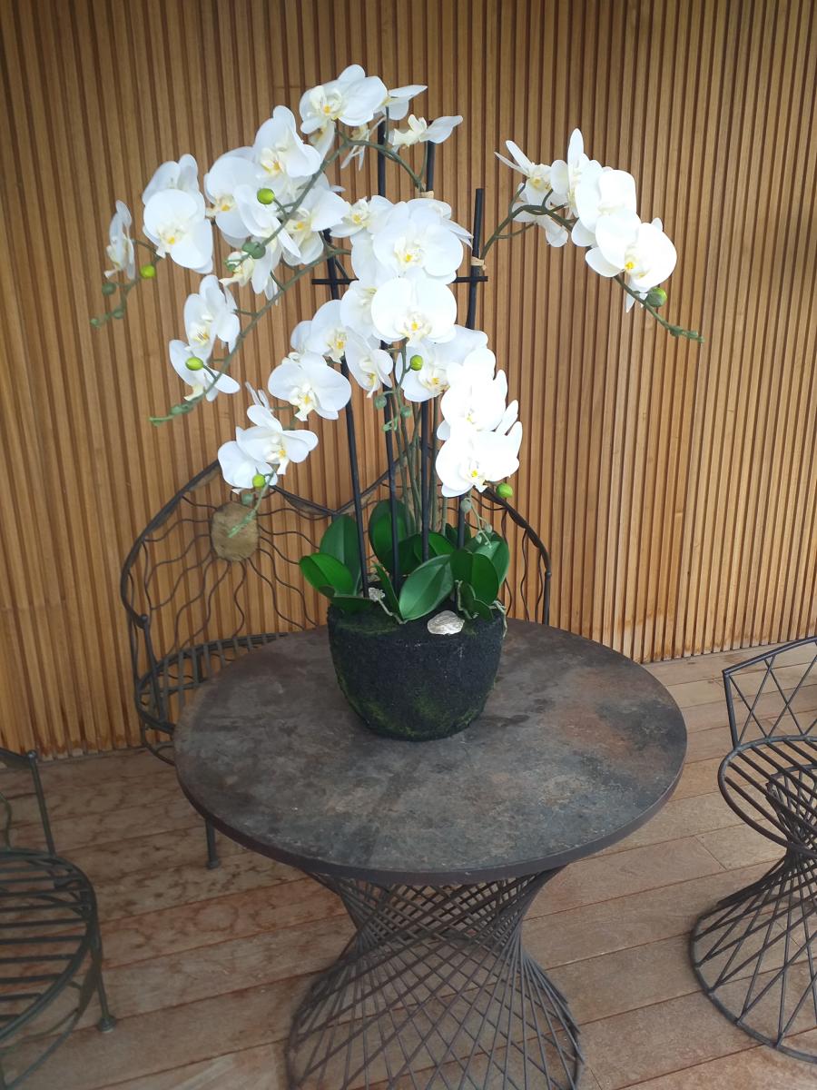 Fleur artificielle Orchidée Phalaenopsis en motte - plante d'intérieur - H.85cm crème