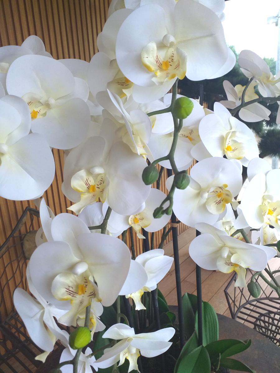 Fleur artificielle Orchidée Phalaenopsis en motte - plante d'intérieur - H.85cm crème