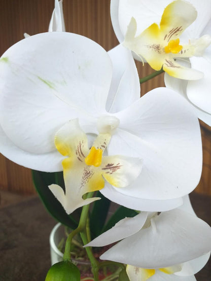 Fleur artificielle Orchidée Phalaenopsis dans un pot en verre - plante d'intérieur - H.42cm crème