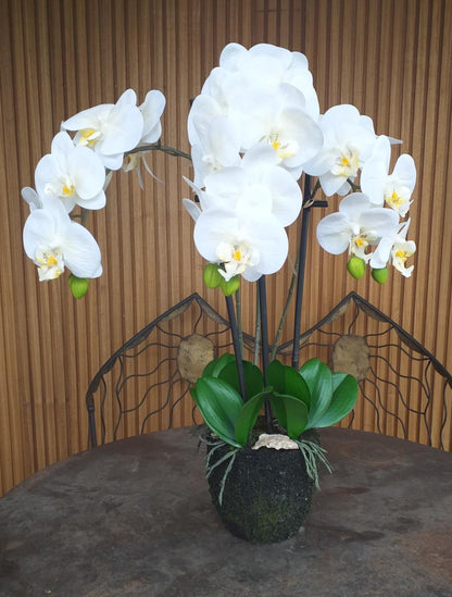 Fleur artificielle Orchidée Phalaenopsis en motte - plante d'intérieur - H.55cm crème