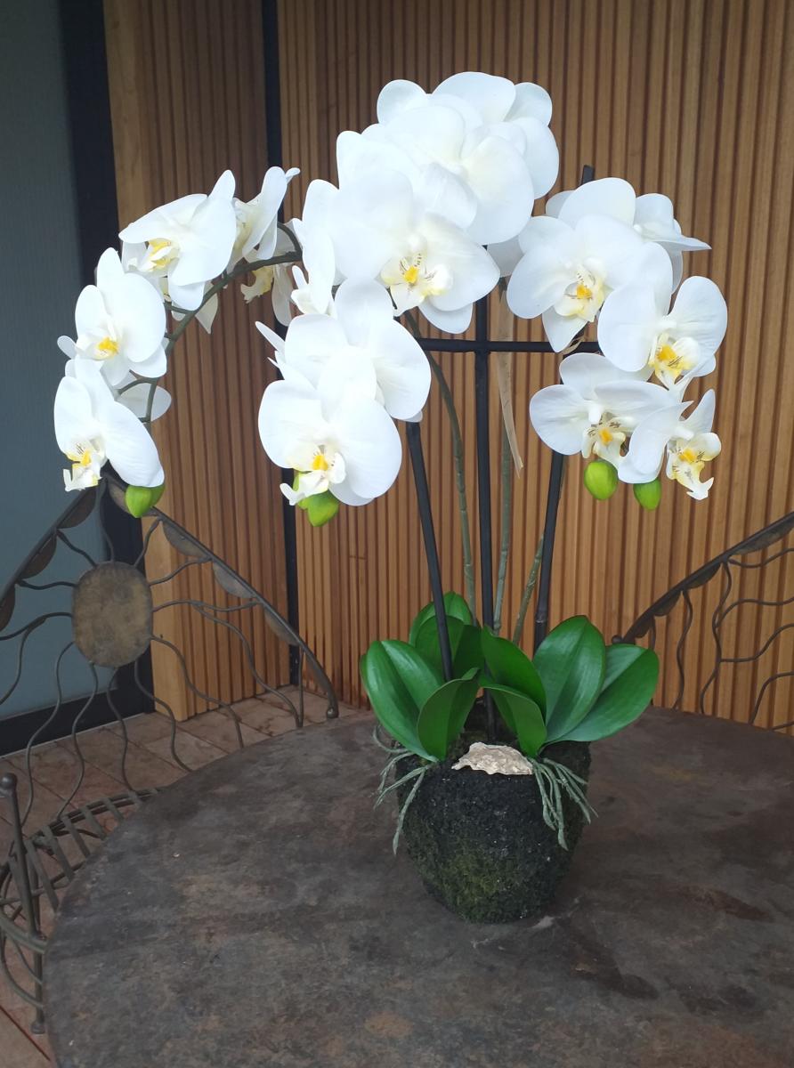 Fleur artificielle Orchidée Phalaenopsis en motte - plante d'intérieur - H.55cm crème