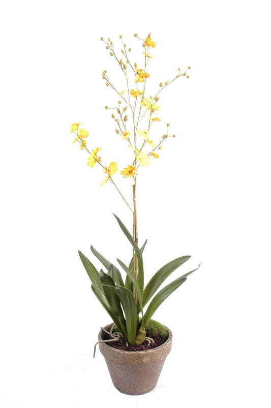 Fleur artificielle Orchidée Dancing Lady - plante en pot terre - H.90cm jaune