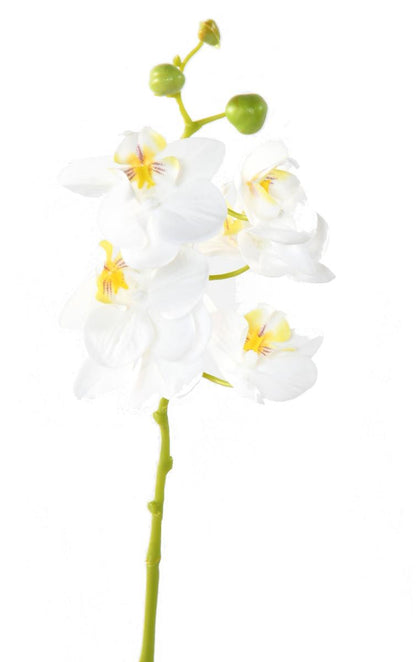 Fleur artificielle Orchidée Phalaenopsis 6 fleurs - Fresh Touch - H.60 cm blanc