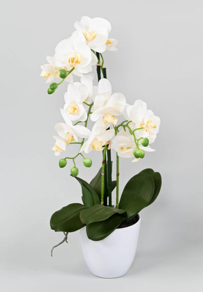 Fleur artificielle Orchidée Phalaenopsis avec pot blanc - plante d'intérieur - H.60cm