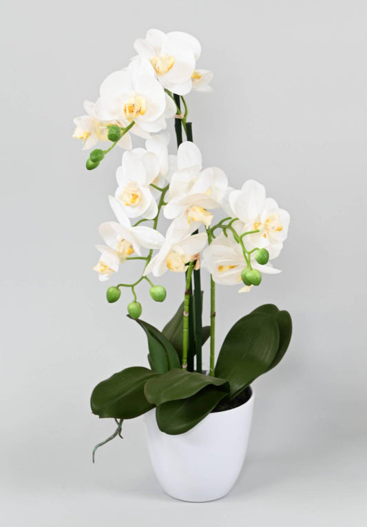 Fleur artificielle Orchidée Phalaenopsis avec pot blanc - plante d'intérieur - H.60cm