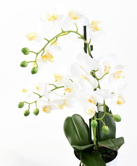 Fleur artificielle Orchidée Phalaenopsis avec pot blanc - plante d'intérieur - H.60cm