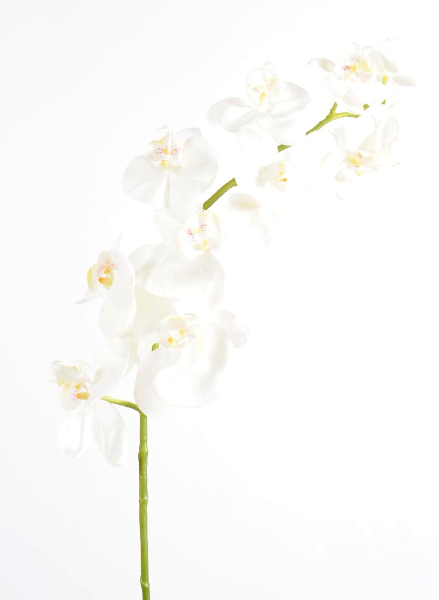 Fleur artificielle Orchidée Phalaenopsis en piquet - 11 fleurs et 7 feuilles - H.100cm blanc