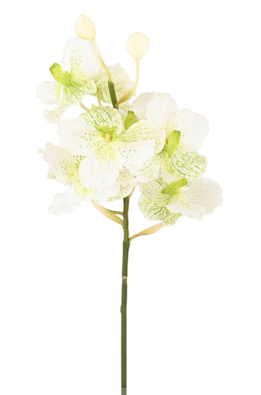 Fleur artificielle Orchidée Vanda Fresh Touch - haut de gamme - H.70cm blanc