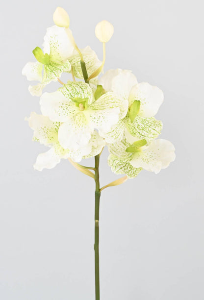 Fleur artificielle Orchidée Vanda Fresh Touch - haut de gamme - H.70cm blanc