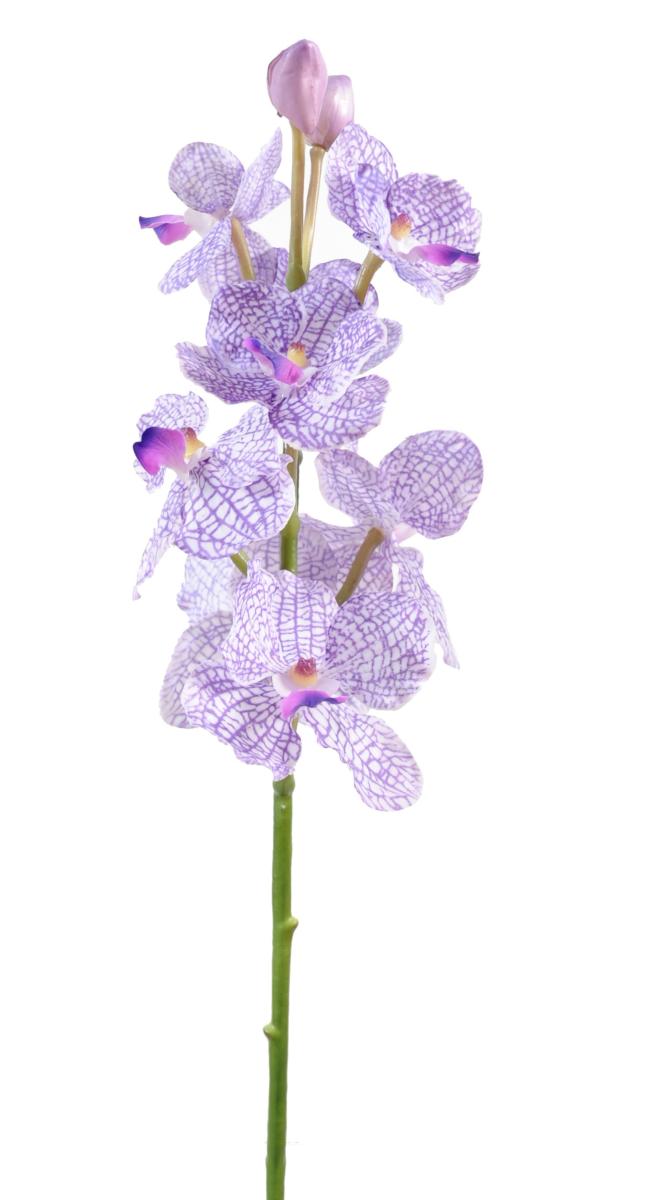 Fleur artificielle Orchidée Vanda feuillage enduit - Fresh Touch - H.60cm violet blanc