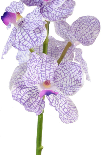 Fleur artificielle Orchidée Vanda feuillage enduit - Fresh Touch - H.60cm violet blanc