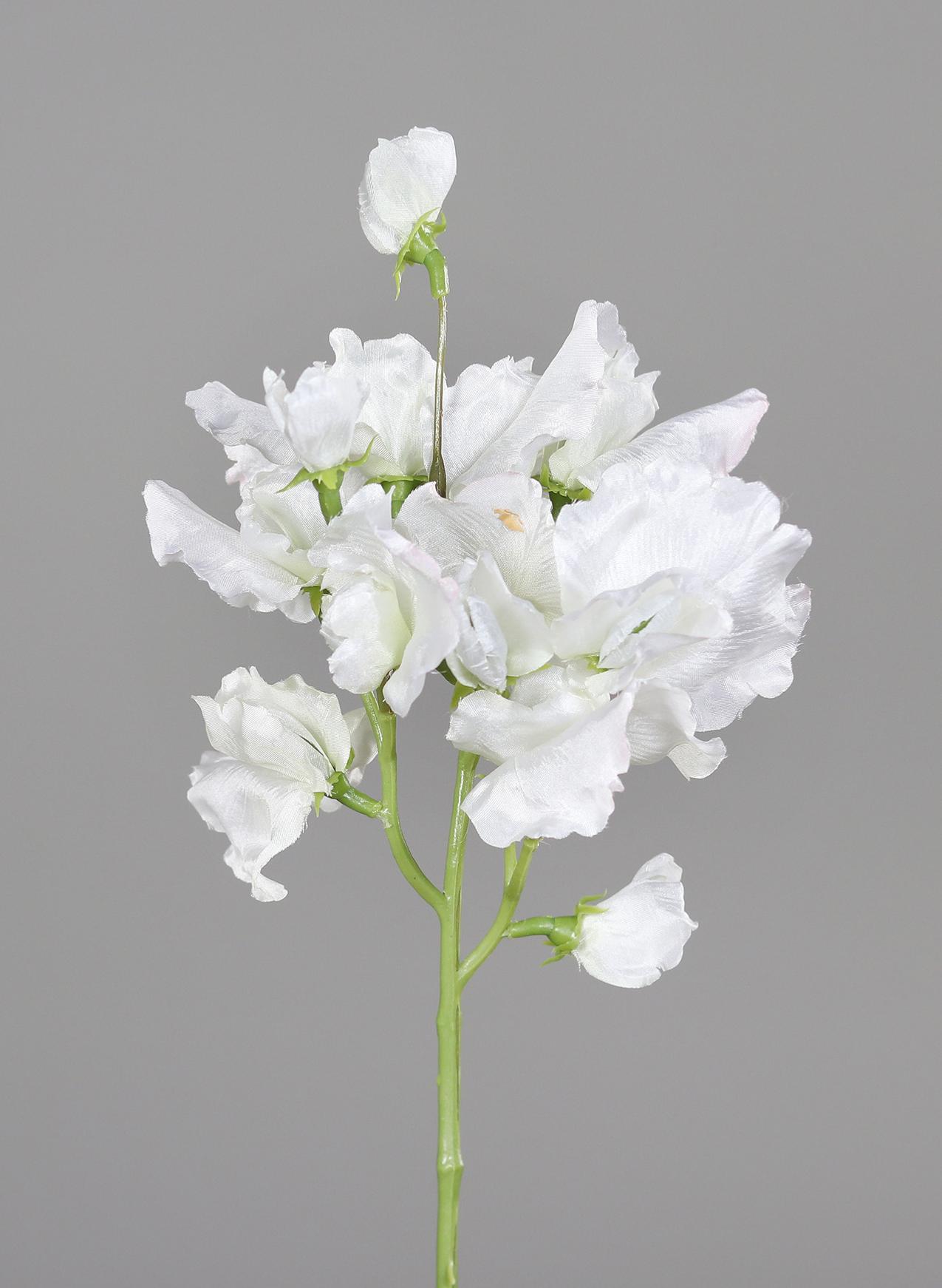 Fleur artificielle Pois de senteur - composition florale - H.46cm crème