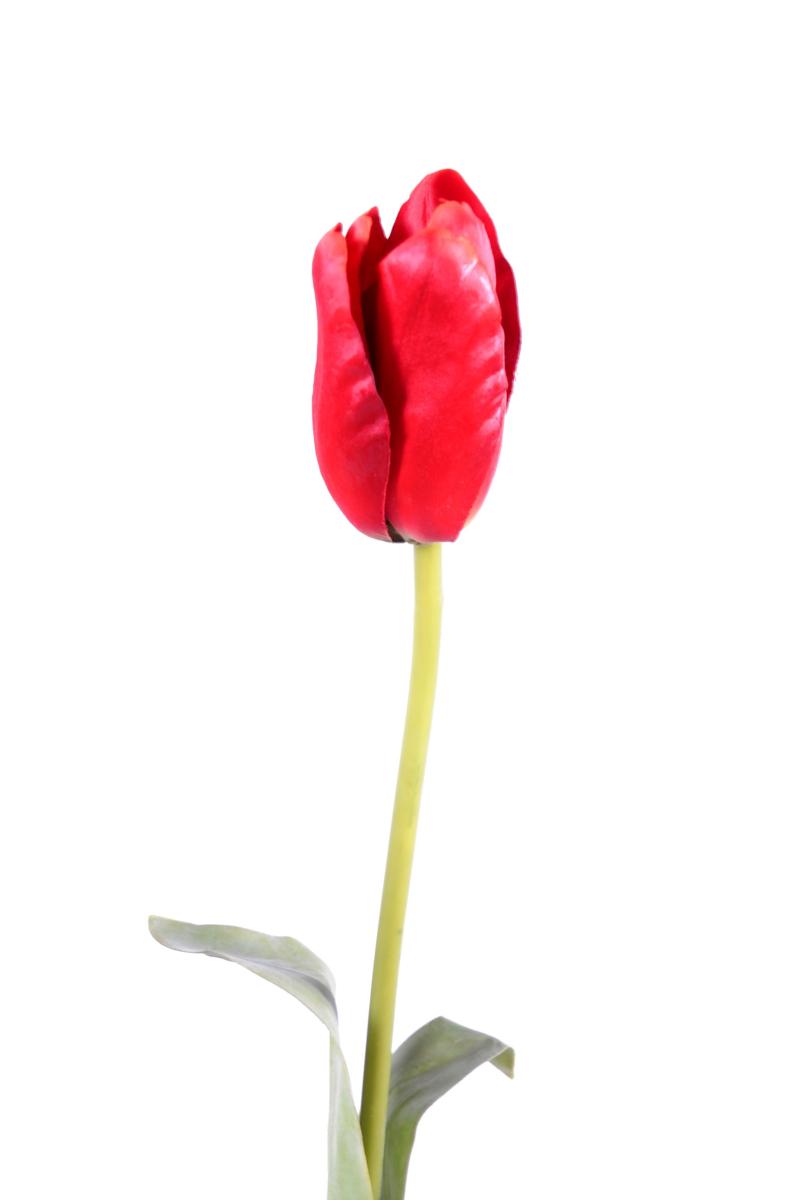 Fleur artificielle coupée Tulipe - décoration d'intérieur - H.79cm rouge