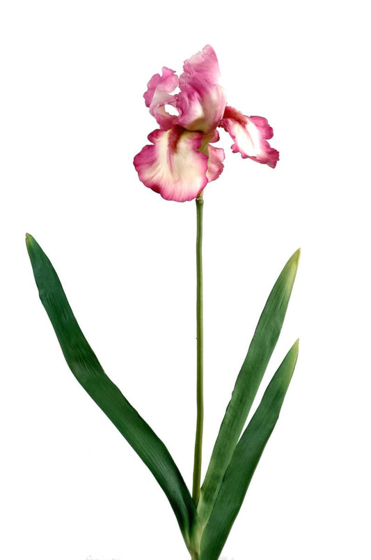 Fleur artificielle iris haute qualité - fleur bicolore - H. 77 cm fuchsia