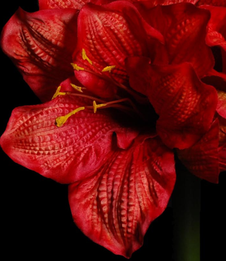 Fleur artificielle tige d'Amaryllis - création composition florale - H.90cm rouge