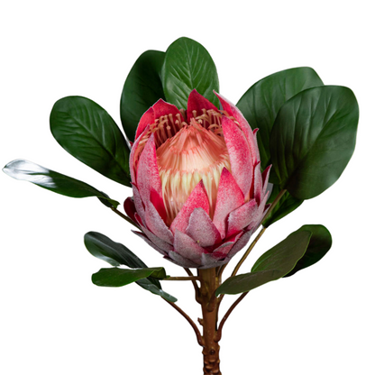 Fleur artificielle tige de Protea géante - création florale intérieur - H.80cm fuchsia