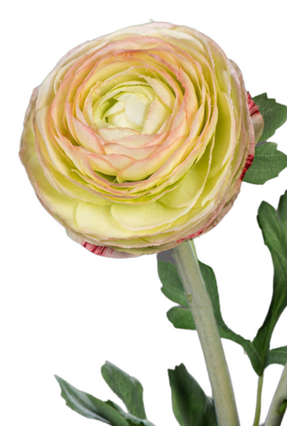 Fleur artificielle tige de Renoncule - création de bouquet - H.57cm vert jaune