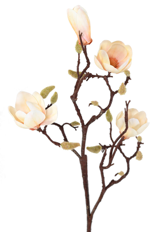 Fleur artificielle branche de Magnolia - création florale intérieur - H.100cm crème