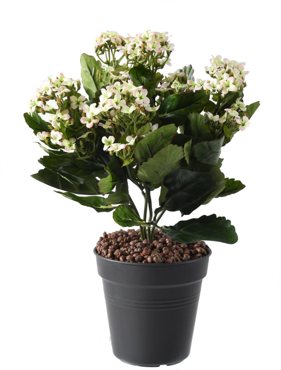 Fleurs artificielles Kalanchoe - plante en piquet - H.25cm blanc