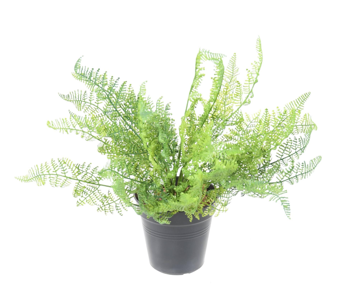 Fougère artificielle Daullia Bullata - plante en piquet - H.35cm vert